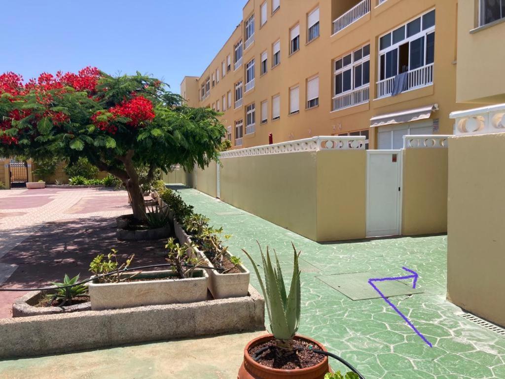 Anka Talo Apartment El Medano  Ngoại thất bức ảnh